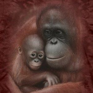 Snuggled Kid's Mountain T-Shirt - Size: L